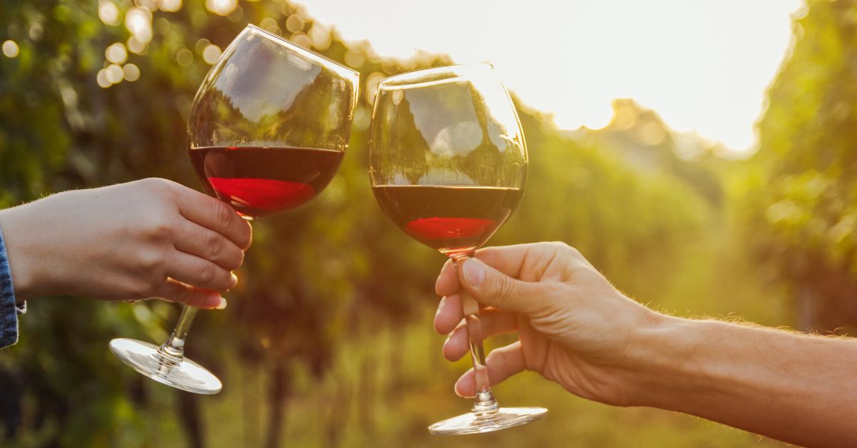two people in the vineyard cheersing with a glass of red wine